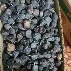 زبيب حماط للبيع الكيلوب100ريال