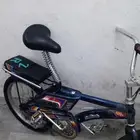 رامبو اندنوسي