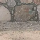 تكحيل جدران