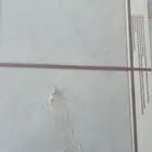 مبلط باكستانى