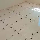 معلم تركيب بلاط ورخام جدران وارضيه خلطه وماده اسعار بما يرضي