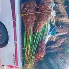 يوجد لدينا جميع انواع النخيل المثمرة وزينه اتواصل جوال 050 6