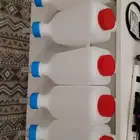 رضاعات غنم جديده