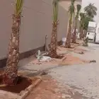 مشتل تنسيق حدائق