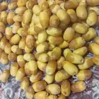 رطب اخلاص ممتاز