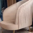 ستاير ومجلس