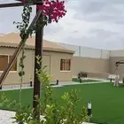 استراحة وضيافة الياسمين بيشة