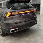 جيلي اوكافانجو 2025