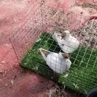 مجموعة حمام للبيع