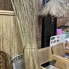 خيزران قش لافريقي