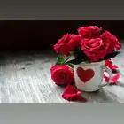 تمريض منزلى رعاية لكبار السن ممرضات ومرفقين