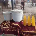 ماشاءالله سمن على الشرط