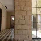 الرياض