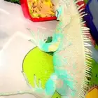 لمحبي النوادر للبيع اقوانا زرقاء