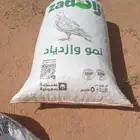 تمر علف حق السنه هذه بالتربيه