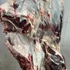 توريد لحوم طازجه يوميا للمحلات والمطاعم لحم بقر لحم عجل