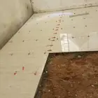 مبلط باكستانى