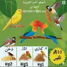 بيع اكل كناري الكيلو 10 اكل روز الكيلو 10 دخن 2كيلو 10