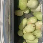 متوفر حبحب كمية الحبة على 10 ريال