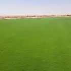ثيل الخرج فرنسي ممتاز