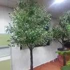 تنسيق منازل وحدائق