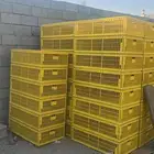 اقفاص دجاج وطنى لم تستخدم من حين ماشريتها