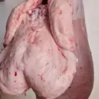 ذبائح هرافي وتيوس