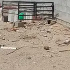 شبك غمارتين 2013بحاله ممتازه