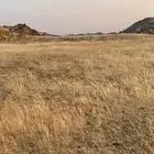 أرض للبيع- أبها - بني مالك شوحطه