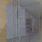 قفص كبير مع بيت بياضه مع كيس عش مع لعبه و ابره سيريلاك
