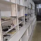 ديكور خشب رفوف