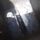 رش مبيدات