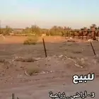 للبيع 3 أراضي زراعية على طريق روضة مساعد