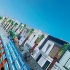 يوجد لدينا نخل عربي وشنطني وفسيل