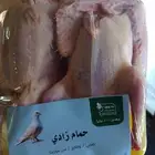 زعليل حمام