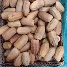 تمر لبان من محافظة الكامل حبة طيبة جدا