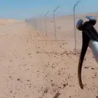 اتصل بنا لدينا جميع انواع الشبوك