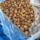 عندك نخل تمر وحاب نشتغلها بنص كلمني