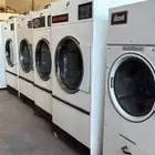 عندك مغسلة ملابس ومحتاج مدير اداره ومتابعه موثوق براتب رمزي