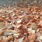 اعلاف كيك وفطائر خبز المجمعه خبز الناشف