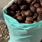 دوم للبيع لتواصل