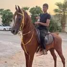 للبيع مجموعه من الخيل
