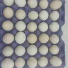 للبيع بيض بلدي