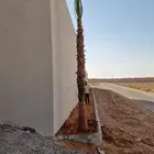 نحل وشنطني جميع المقاسات وتنسيق الحدايق وقص الشجار وتكريب ان