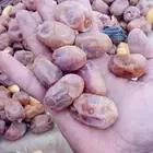 يوجد لدينا تمور اخلاص اشيقر فاخره لتواصل عبر