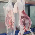 ملحمة النسيم البلدي تيوس خرفان حشوان صغير ويوجد توصيل