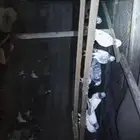 العاليه