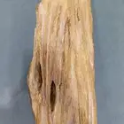 قطعة مروكي دبل قديمة ونادرة