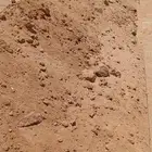 توريد مواد البناء رمل دفان صب بيز اسمنت بلك جميع المناطق