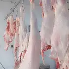 ابحث عن عمل جزار خبره في جميع انواع اللحوم وتفصيلها